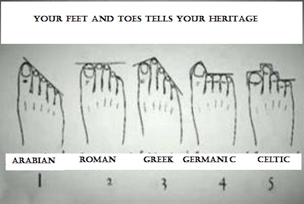 Foot Shape Ancestry Chart